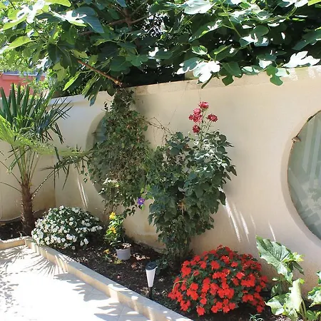 Stela בית הארחה