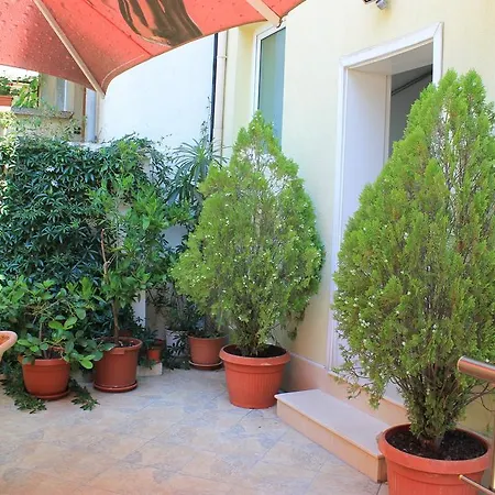 Stela Guest house 3*